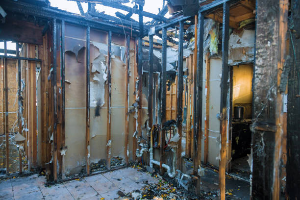 Professional Fire Damage Repair technician working in Annandale, MN