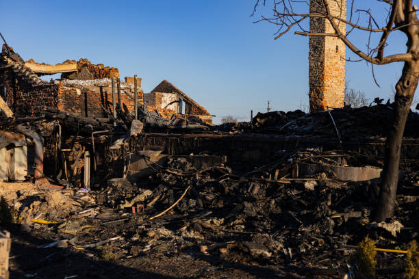 Reliable Fire Damage Repair contractor in Annandale, MN by Fire Damage Doption