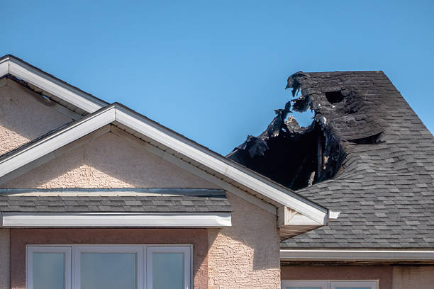 Top rated local Fire Damage Repair specialists in Annandale, MN